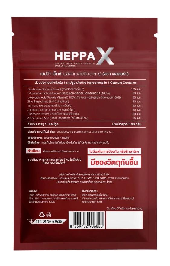 HEPPA X Back