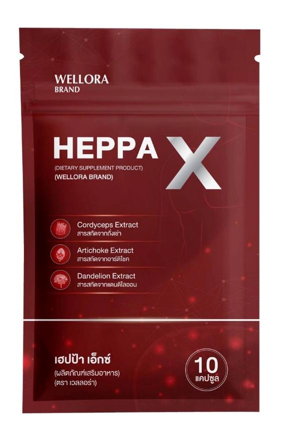 HEPPA X Product